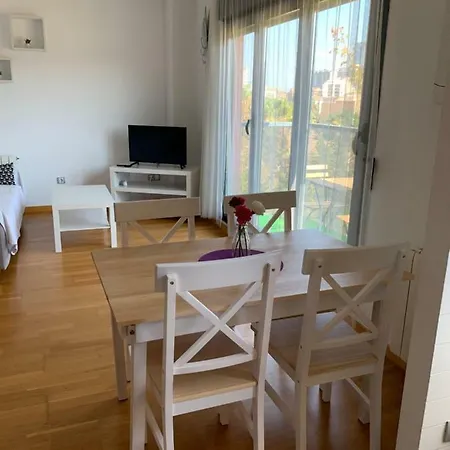Maestro Rodrigo Appartement Valence
